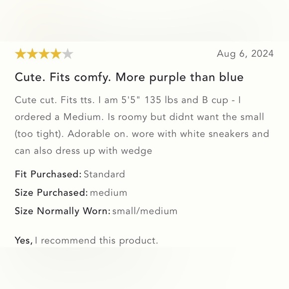 NWT Size 16 P - Anthropologie Linen Mini Dress in Blue/Purple - Picture 12 of 16